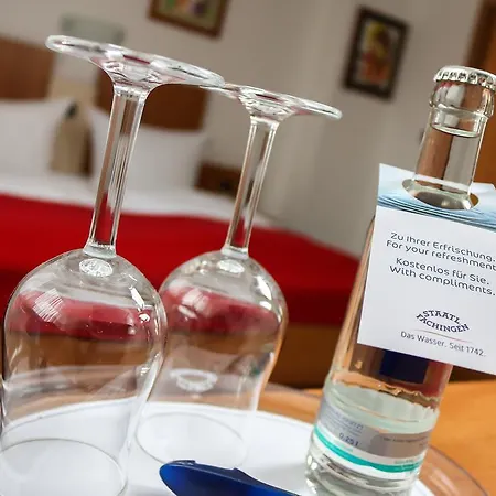 酒店 佐纳城市酒店 3*