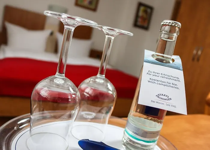 酒店 佐纳城市酒店 3*